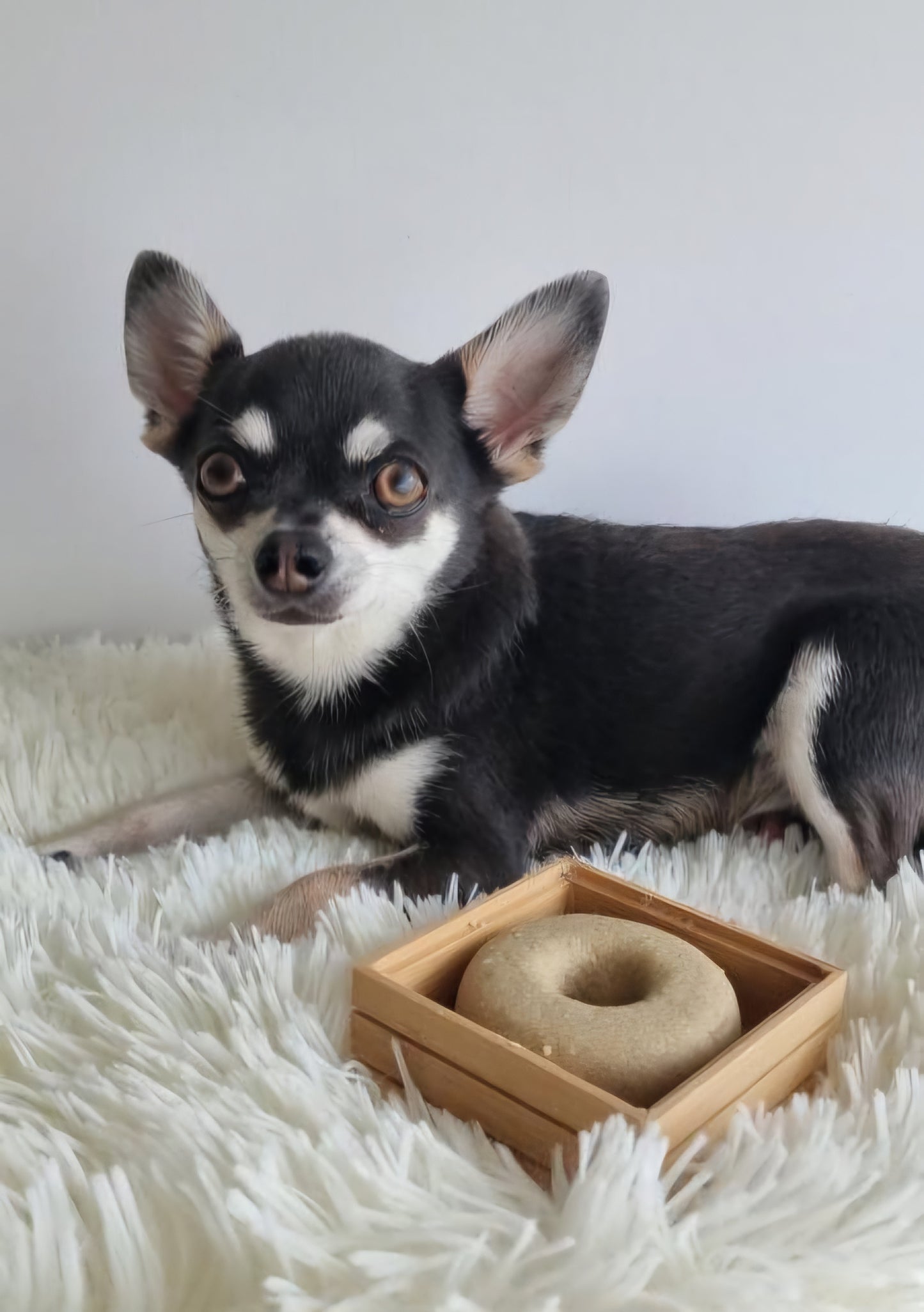 Kusko Shampoo bar being gently used on a dog’s coat, offering natural protection and a clean, healthy finish.