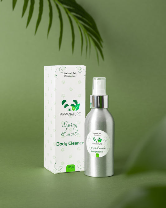 Spray Lincoln - Body Cleaner