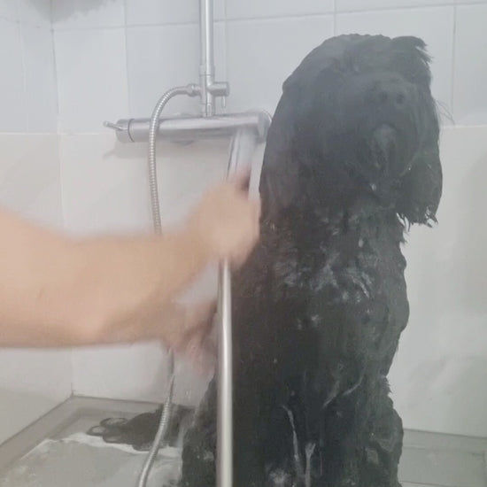 Demonstration of Picasso Shampoo bar by PippaNature, showing how to use this natural solid shampoo to clean and detangle long-haired dog coats.